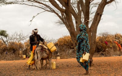 Kenia : De ernigste droogte en hongercrisis